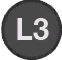 L1